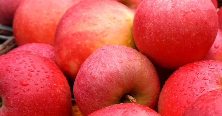 Importadores de Manzanas en Colombia