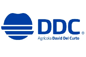 ddc